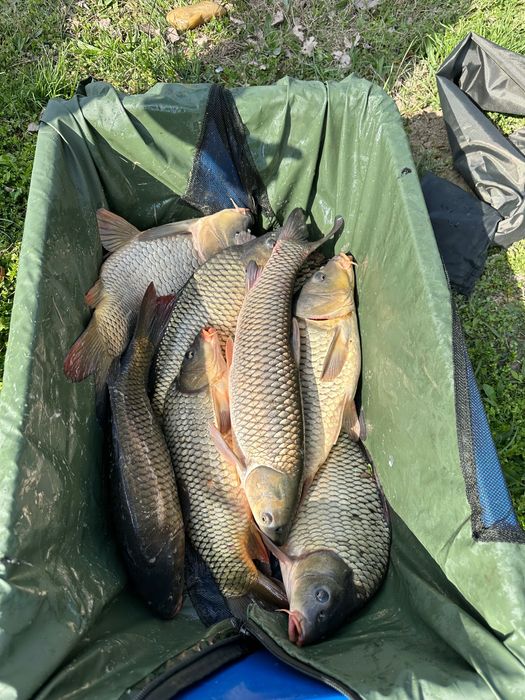 Crap consum, trofee, populare lacuri!