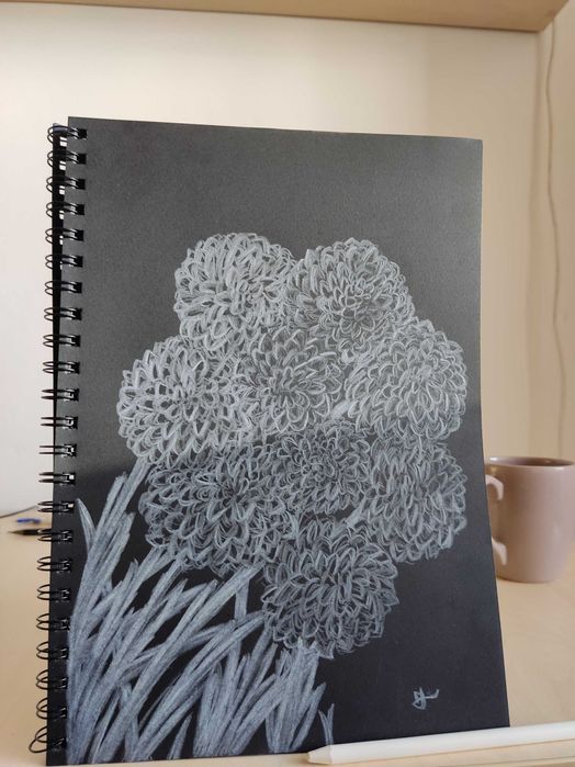 Realizez desene la comanda