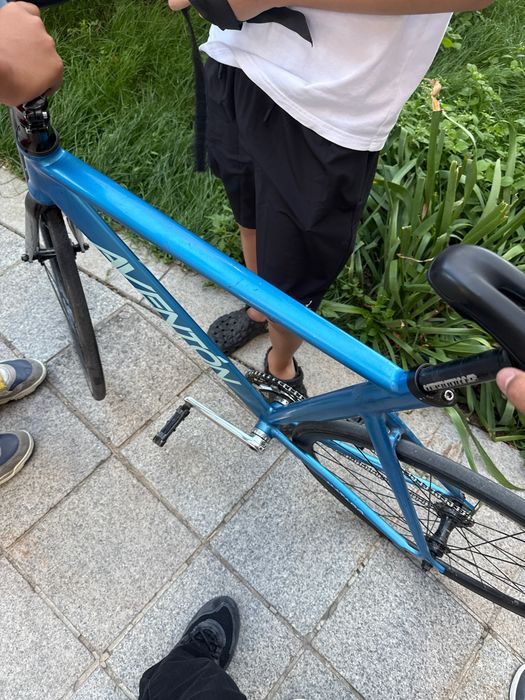 Aventon  mataro.
