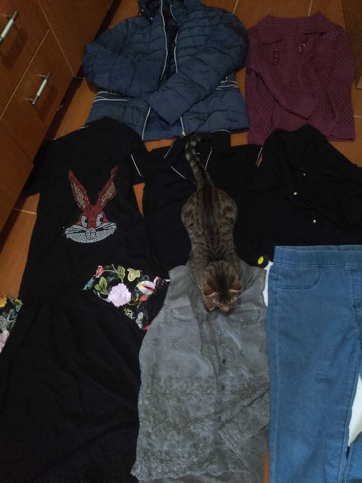 Lot haine dama măsură M/L (40)42)