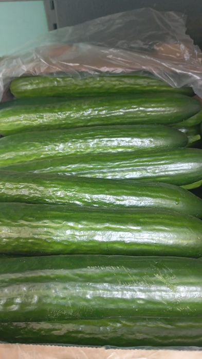 Фрукты овощи оптовые цены