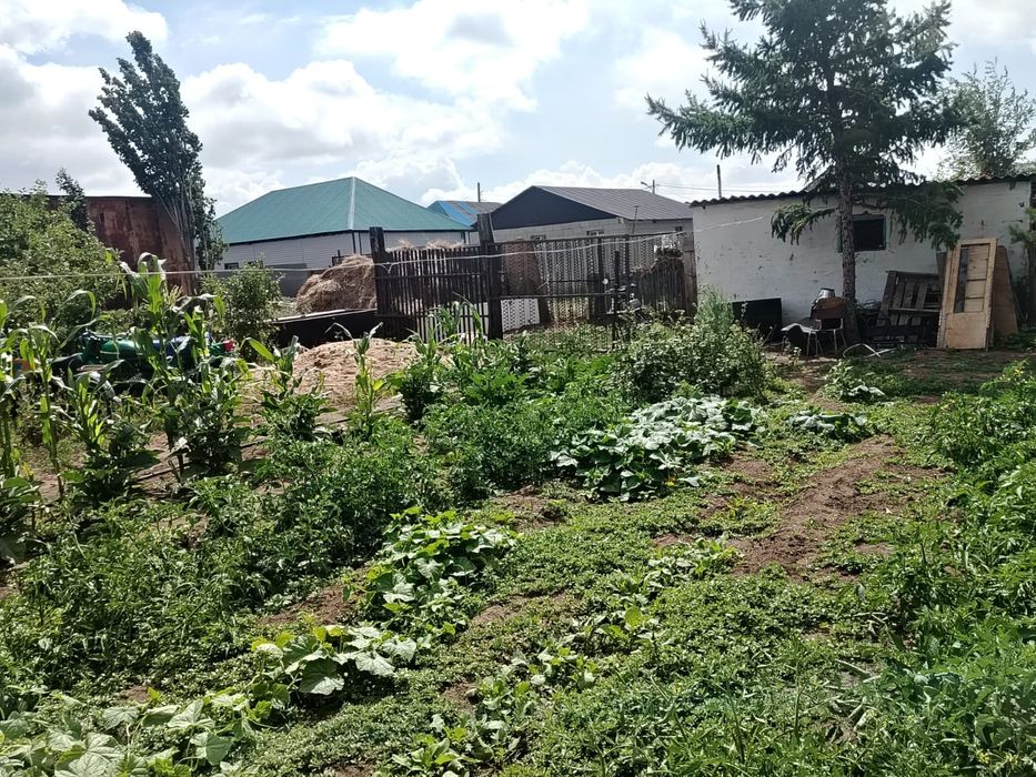 Продам дом находится в Кенжеколе