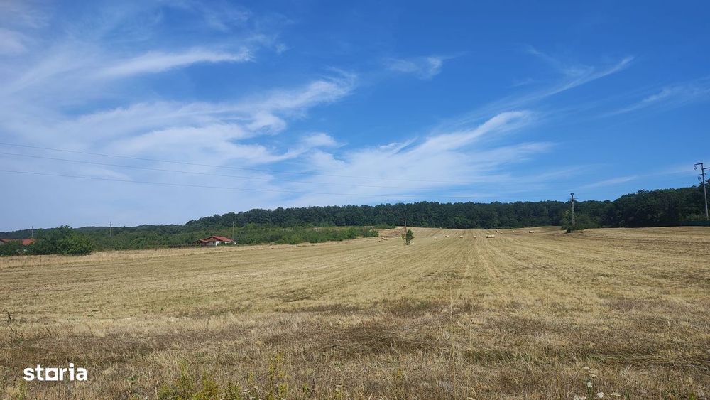 Teren extravilan de vânzare – Bârsău, județul Hunedoara – 7 hectare
