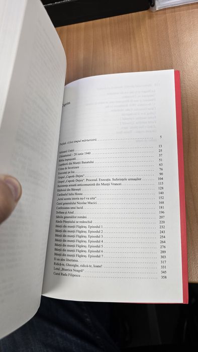 Lucia Hossu Longin - Memorialul Durerii