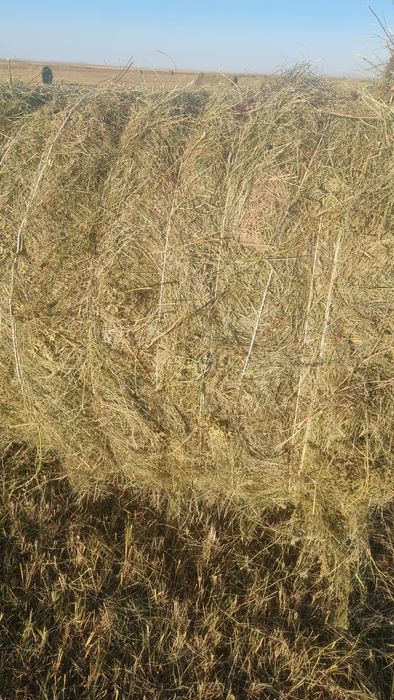 Продам сено рулонн и тюковое ...