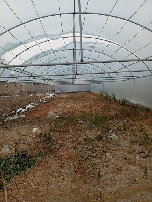 Иссикхона сотилади