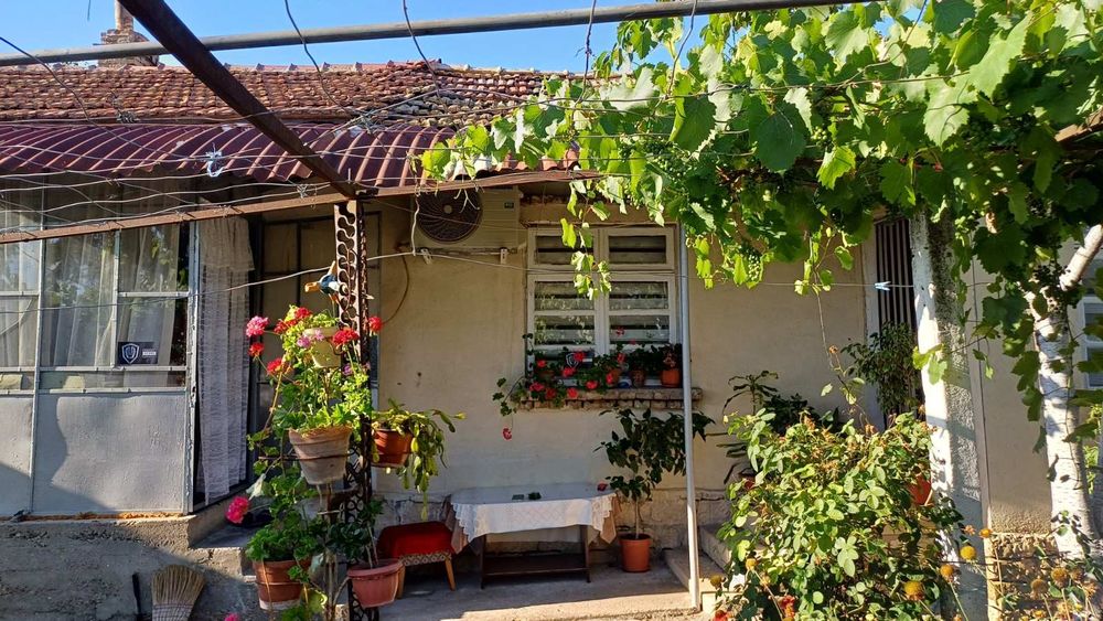 Продава се Къща в Плиска - 1600 кв.м за 26 €/кв.м - Снимка #2