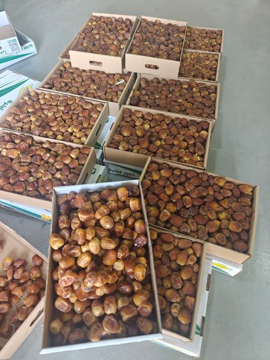 Финики Суккари Медовые