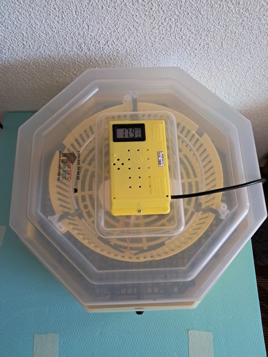 Инкубатор 41/60 яйца с влагомер и термометър