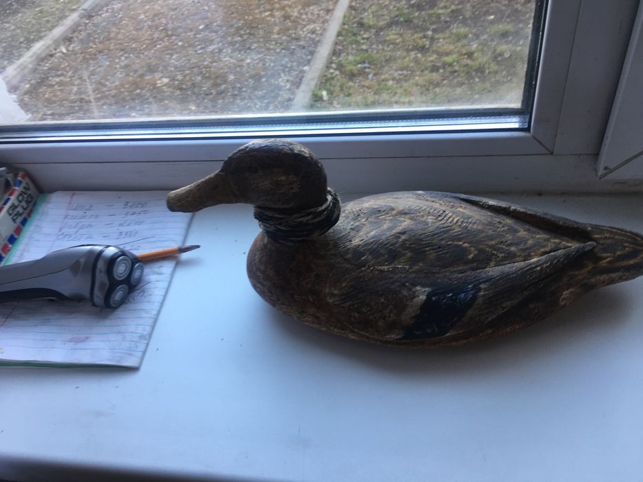 Продам реалистичное чучеле кряковой утки