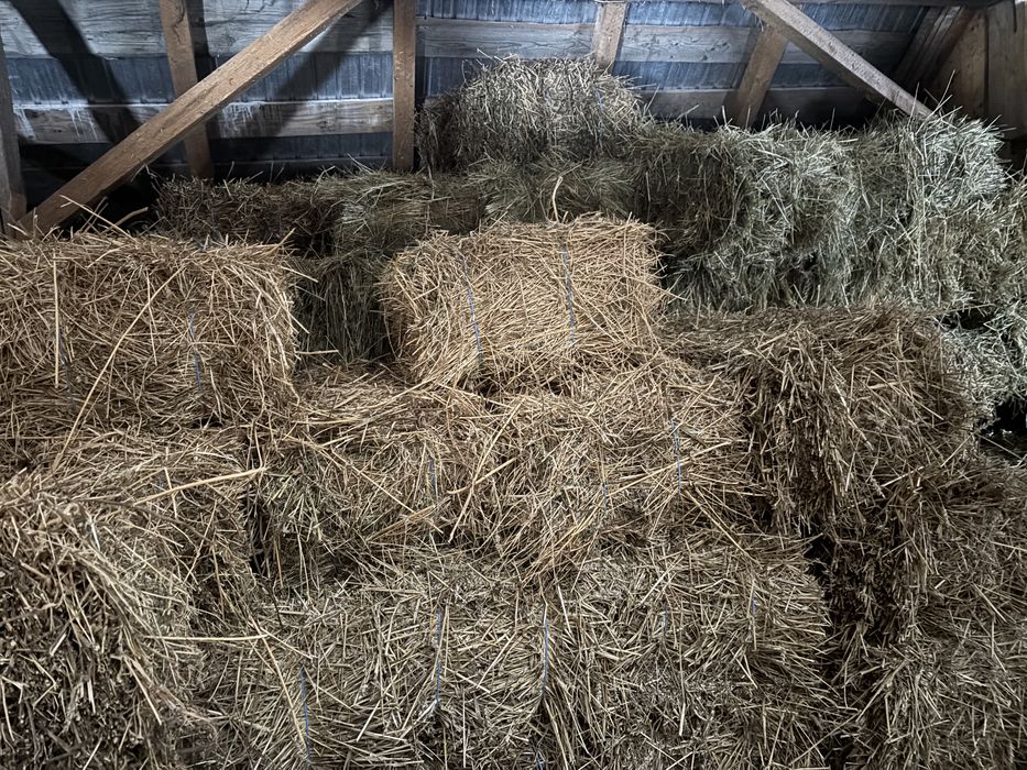 Vand baloti fan si lucerna