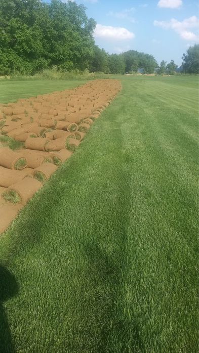 Рулонные газон в ташкенте | Таййор Газон