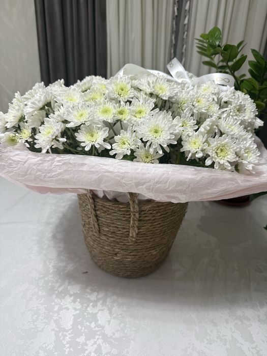 Цветы в хорошем состояний