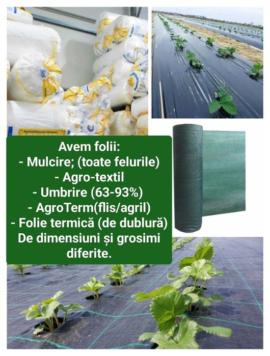 Folie Profesionala Israel Sere Solarii si accesorii