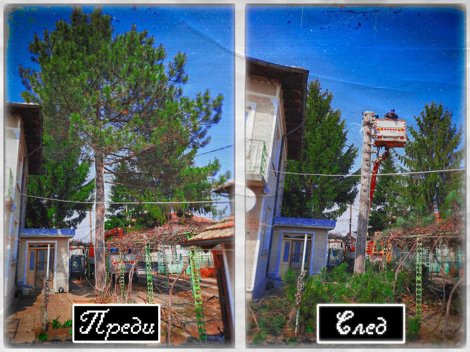 Почистване на терени и дворни места - Варна И Добрич