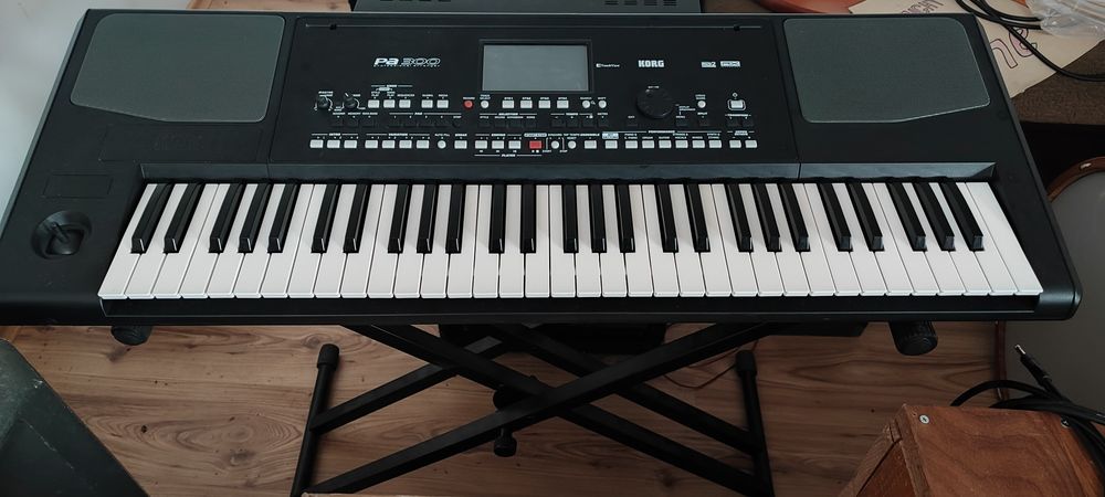 Korg PA300   Корг ПА300