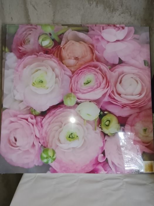 Tablou pe pânză 80/80cm