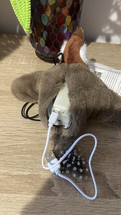 Jucarie interactiva reincarbabila pentru pisici, pasare zburatoare, design sigur
