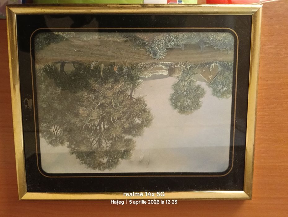 Tablouri ca noi,2bucati ,comunism,40lei ambele