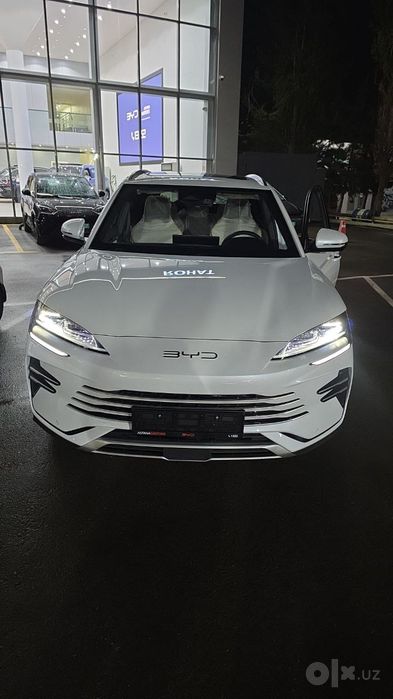 BYD Champion Hybrid 2024