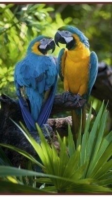 Распродажа!!! Обогреватель-картина