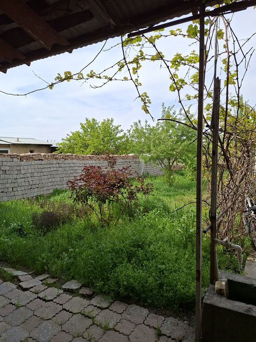 Янги 16 йиллик Бунёдкор махаласида Зарбулок кучаси  3 сотихли уй сотил