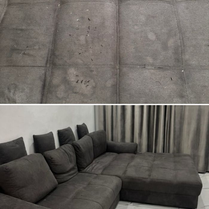 Detailing auto | Diagnoza AUTO |Ambientale | Codari AUTO | Windows-uri