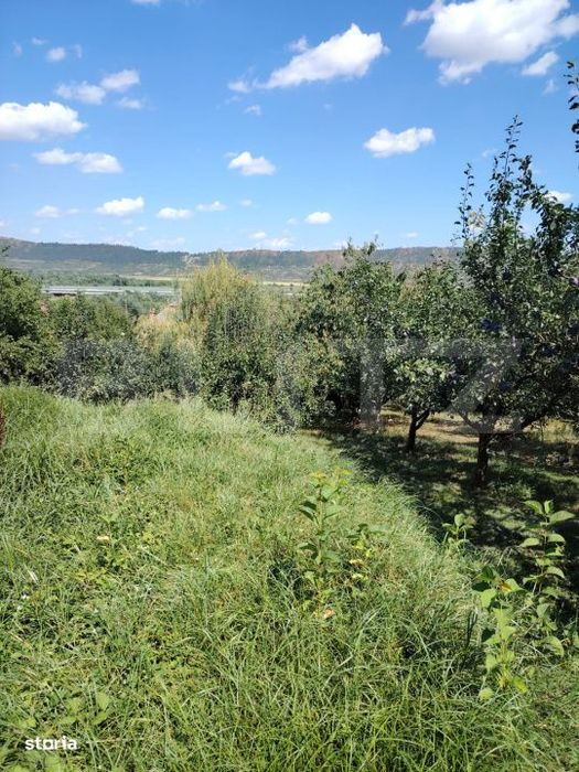 Casa de vanzare, 115 mp, teren 4000 mp, livada, zona Nord