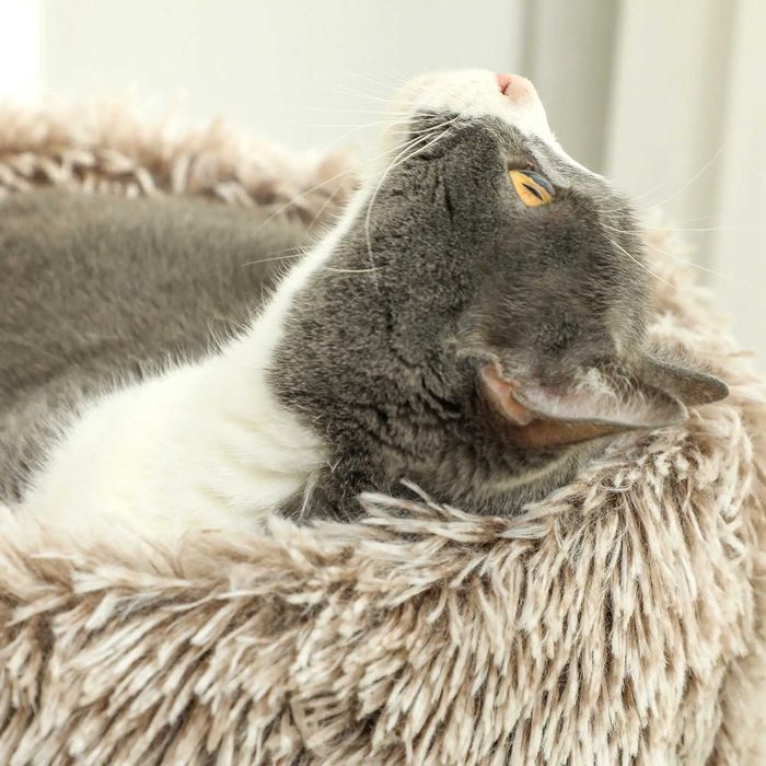 PawHut Дърво за котки, 87 см, Кула за котки с дебела драскалка