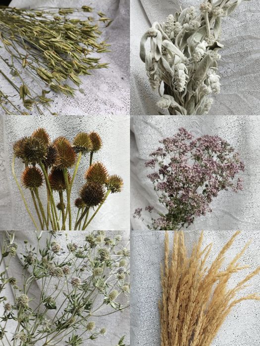 Разные сухоцветы в наличии