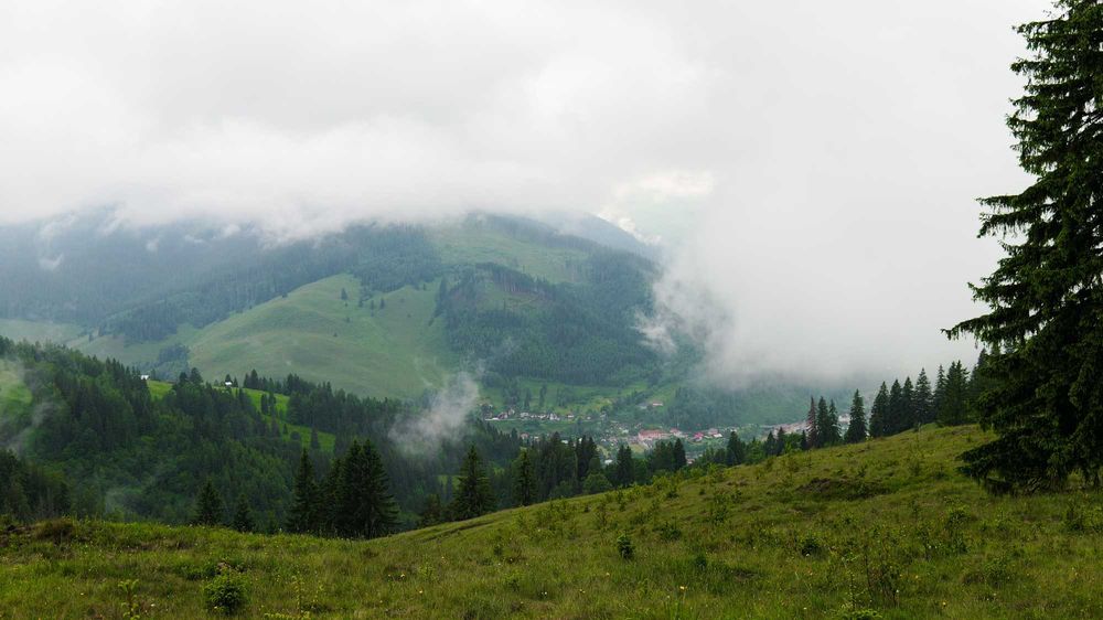 17 Ha Hectare pe Via Transilvanica intravilan + extravilan in Fundu Moldovei