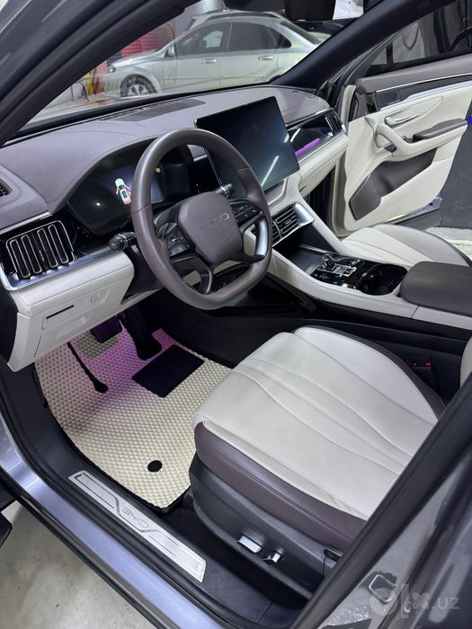 BYD champion smart restayling 605