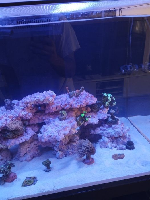 Морски аквариум red sea 300g2+