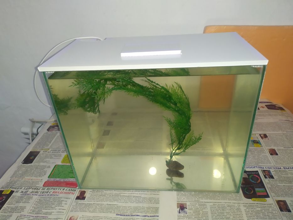 Новый аквариум + бонусы и рыбки.