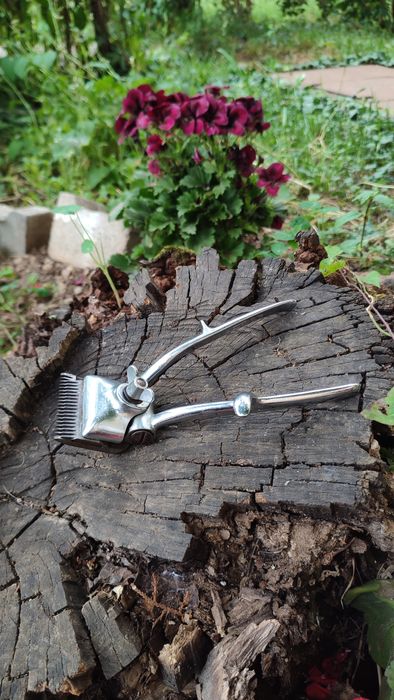 Masina de tuns manuală "Club France"