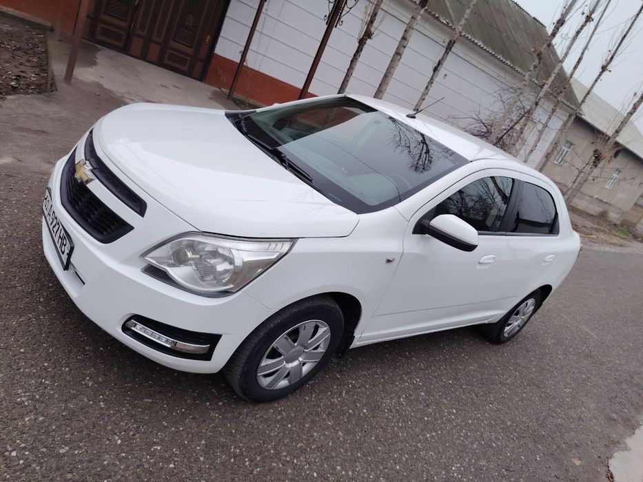 Cobalt yurish turishi zor