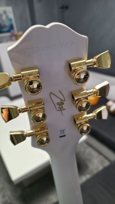 Нова Epiphone Origins Custom  Matt Heafy Signature