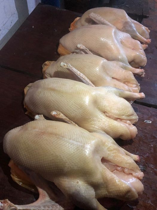 Мясо гусей / Гуси