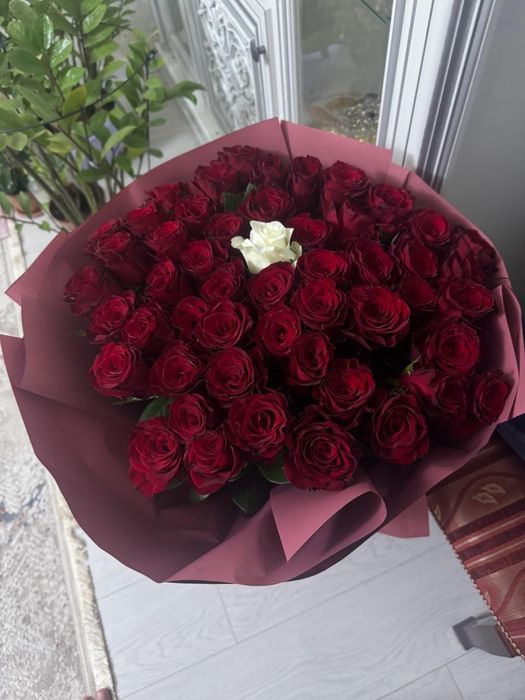 51 роза продам свежие