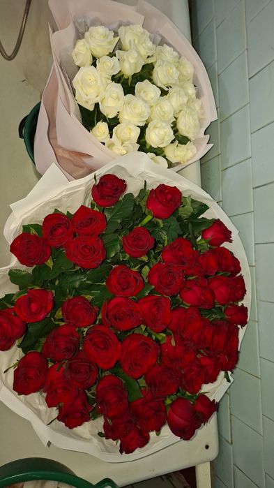 Роза 51 шт свежие