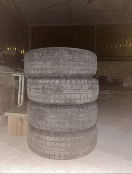 Зимние шины Toyo