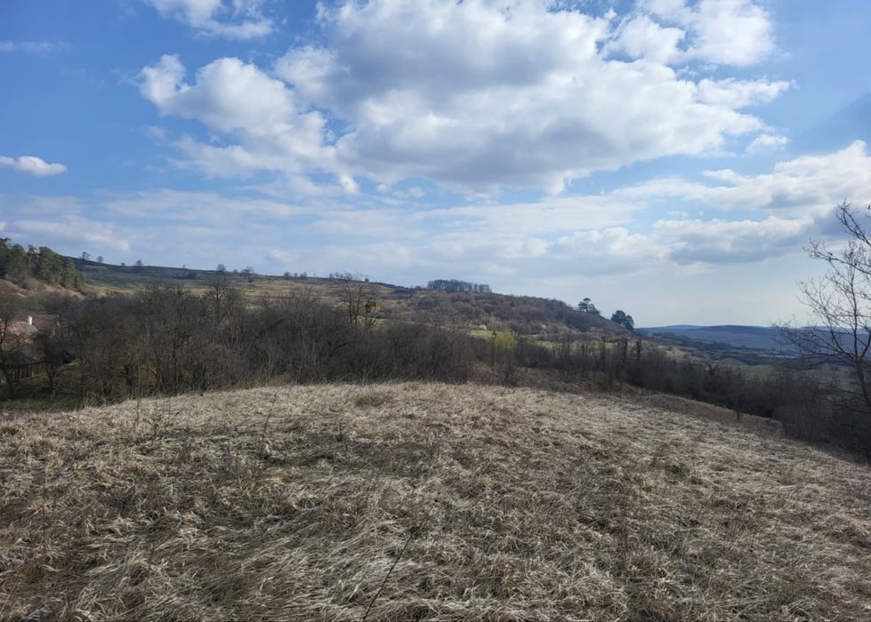 Teren 1 hectar cu casa