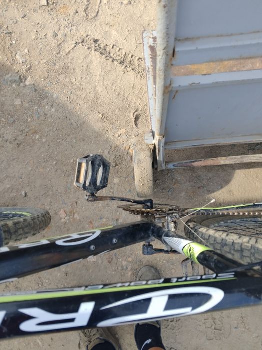 Пирадаю велик бу