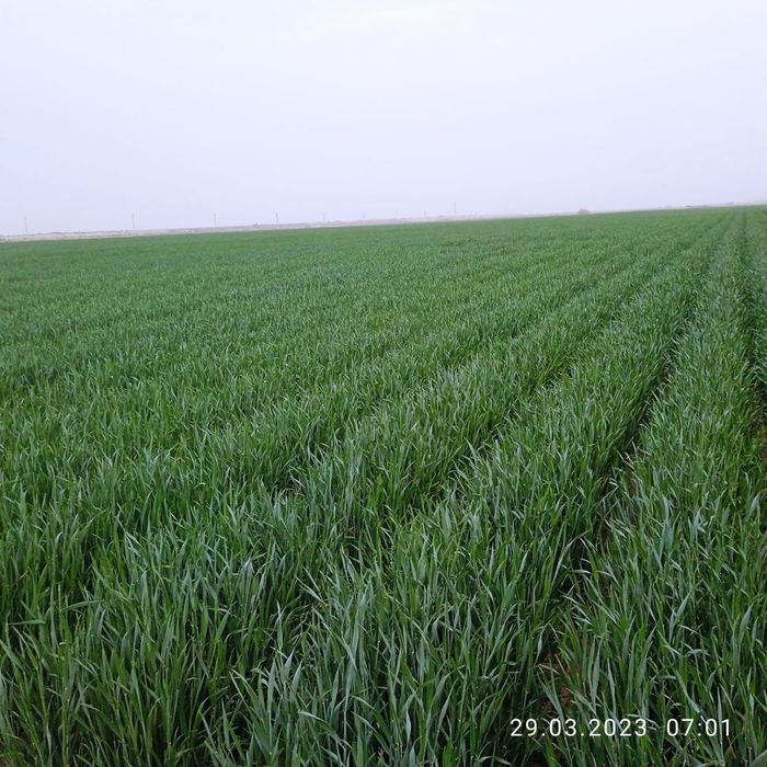 Ер ижарага берилади