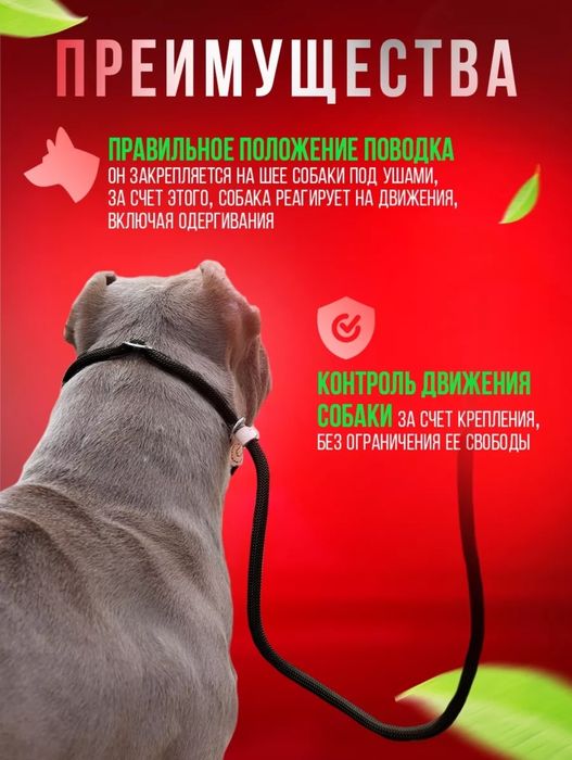 Поводок ошейник контроллер ринговка