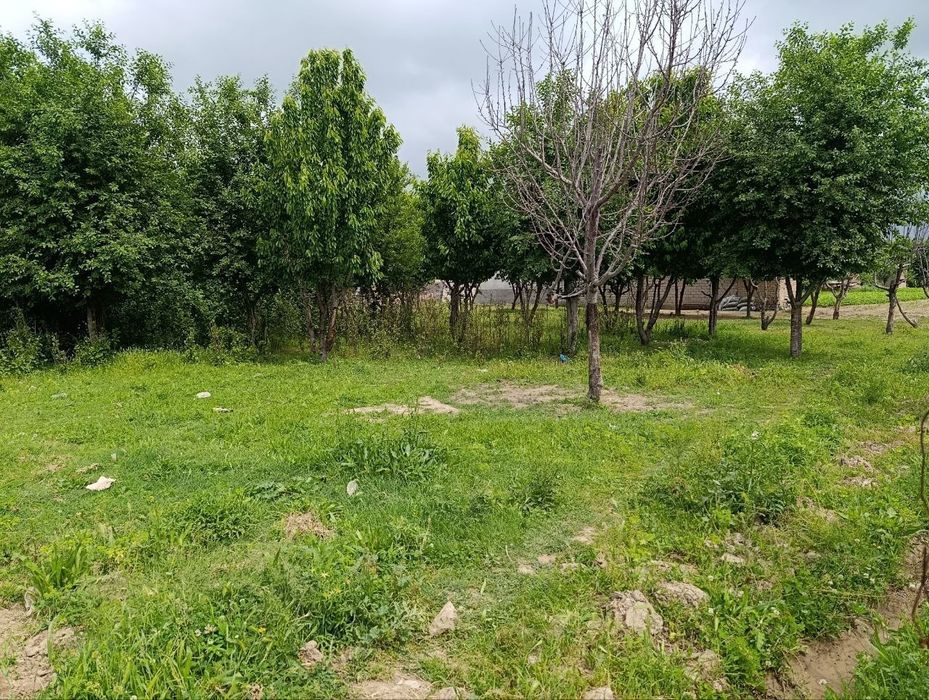 Ер участка сотилади барча хужжатлар бор