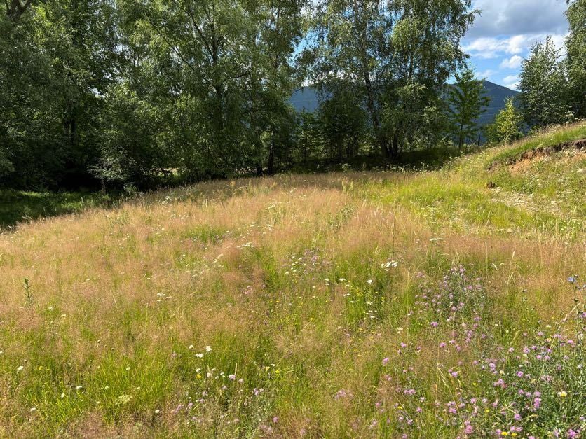 Teren Intravilan