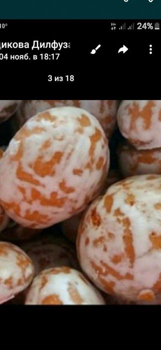 400 dollor bilan xammasini bir kunda sirlari bilan o'rgataman