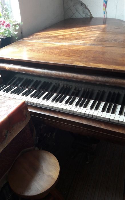Pian Bösendorfer