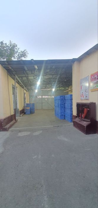 Земля 30 соток Кара камыш сзади птица базара.